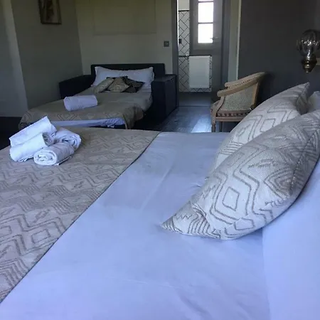 Beauty - Singular's Hotel