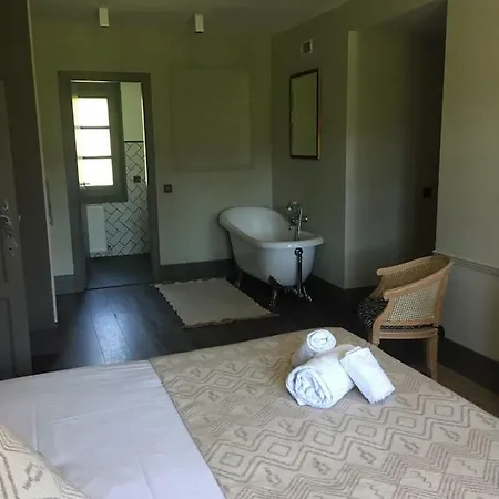 Beauty - Singular's Hotel